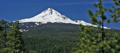 Mt. Hood seen from the Dog River overlook