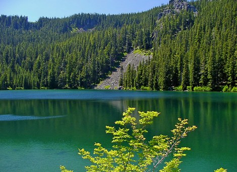Serene Lake
