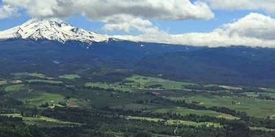 Mt. Hood from the summit of Bald Butte