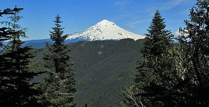 Mt. Hood from the summit of Wilcat Mountain